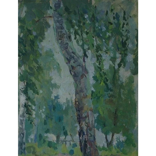 Realism Impressionism Birch Tree Oil Painting, Ukrainian Art (1949) 44-34 For Sale - Image 3 of 6