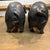 Antique Bronze Pigs For Sale - Image 6 of 12