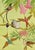 William Neave Parker, Hummingbirds Illustration, 1950s, Gouache For Sale - Image 9 of 9
