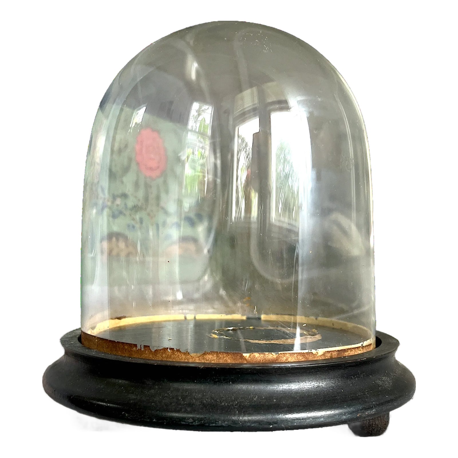 Antique Glass Cloche With Ebonized Wooden Base – 19th Century Display ...