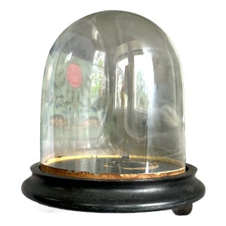 Antique Glass Cloche With Ebonized Wooden Base – 19th Century Display Dome For Sale
