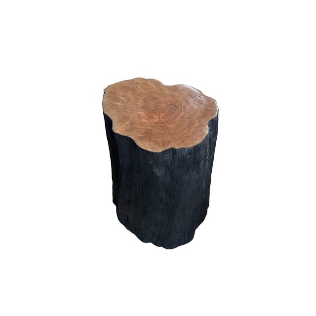 Wood Natural Solid Lychee Wood Side Table Charred & Natural Finish, Modern Organic For Sale - Image 7 of 7