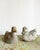 Stone Ducks, 1800s, Set of 2 For Sale - Image 11 of 11