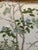 Wood Antique French Louis XV–Style Sofa — Thibaut Katsura Lavender & Amethyst Velvet For Sale - Image 7 of 12