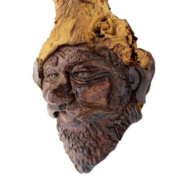 Late 20th Century Very Fine Detailed Burl Wood Carving of an Elf or Gnome Face Wall Sculpture MINT For Sale - Image 6 of 10