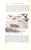 1920s "Hawbuck Grange Or, the Sporting Adventures of Thomas Scott, Esq." 1926 Surtees, Robert S. For Sale - Image 5 of 7