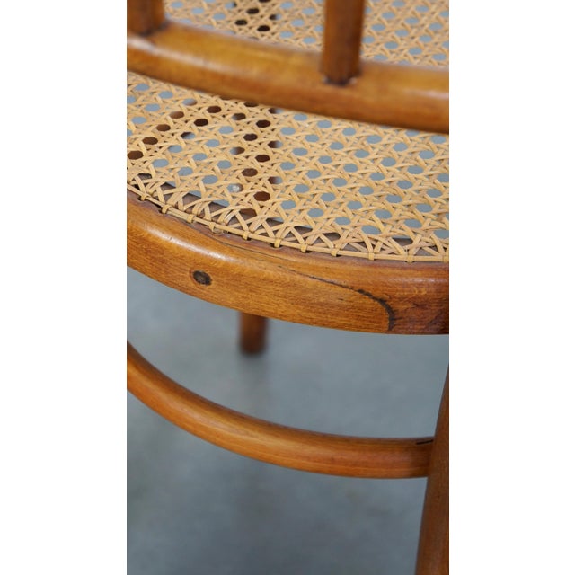 Dining Chairs from Thonet, Set of 4 For Sale - Image 15 of 18