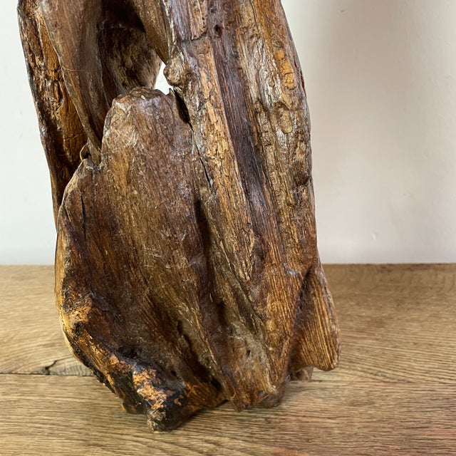 Folk Art Naïve Sculpture in Root Wood, 1800s For Sale - Image 9 of 16