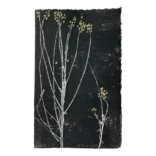 Marta Wakula, Flora, Monotype on Paper, 2018 For Sale