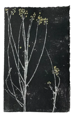 Marta Wakula, Flora, Monotype on Paper, 2018
