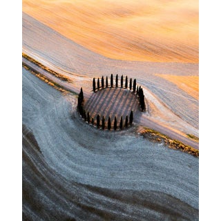 Marco Bottigelli, Country Road and Cypresses Grove, Tuscany, Italy, Photograph For Sale