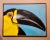 Campos - Portrait of a Toucan Bird -1960s Oil Painting American Expressionism - Oil painting on Canvas - Signed - Canvas...