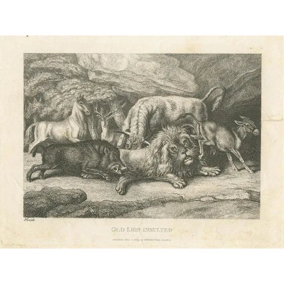 Samuel Howitt, Lion Insulted, Print For Sale