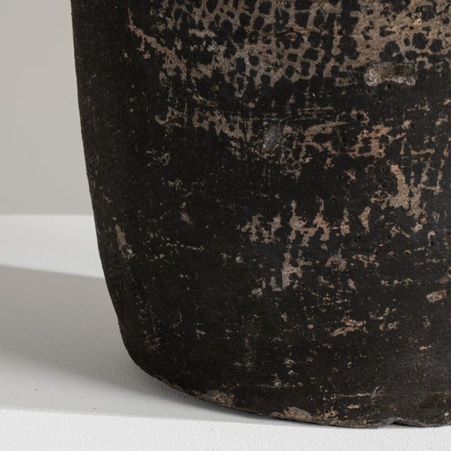 Mid 20th Century France Black Concrete Planter For Sale - Image 10 of 10