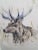 Farmhouse 20” Stag Patterned Square Pillow For Sale - Image 3 of 9