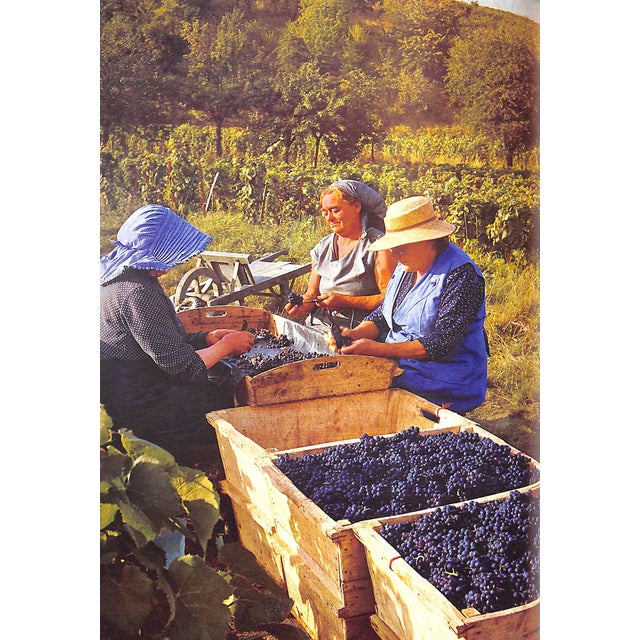 Paper "Dictionary of Gastronomy" 1970 Simon, Andre L. & Howe, Robin For Sale - Image 7 of 10