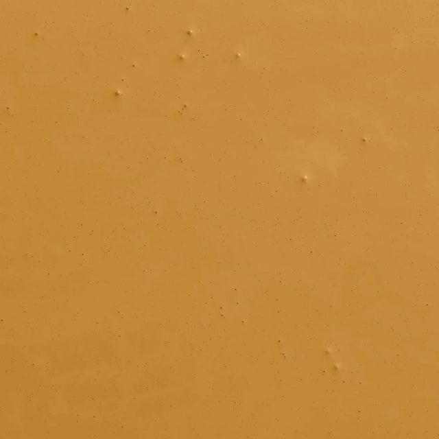 BACKDROP Standard Finish Interior Paint in Tanlines (Dark, Strong Yellow) - 1 Gallon For Sale - Image 4 of 6