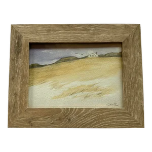 Framed Original Watercolor Painting