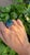 A very beautiful & gorgeous, Art deco style, Emerald & Blue Sapphire Cocktail Ring set in 18K White Gold & Diamonds. The...