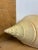 Shell Early 20th Century Extra Large Syrinx Aranus Sea Shell For Sale - Image 7 of 8