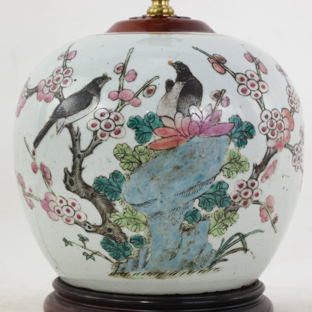 Ceramic Antique Famille Rose Porcelain Vase Lamp With Birds on Flowering Plum Branches and Rockery For Sale - Image 7 of 14