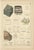 Kenngott, Set of Two Mineralogy Chromolithographs, Fluorite, Amber & Coal, 1888, Paper For Sale - Image 3 of 10