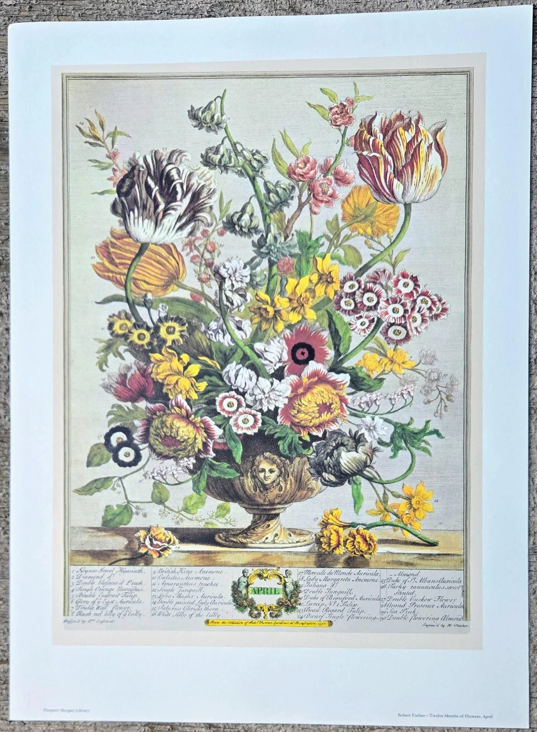 1980s Vintage Robert Furber April Botanical From 