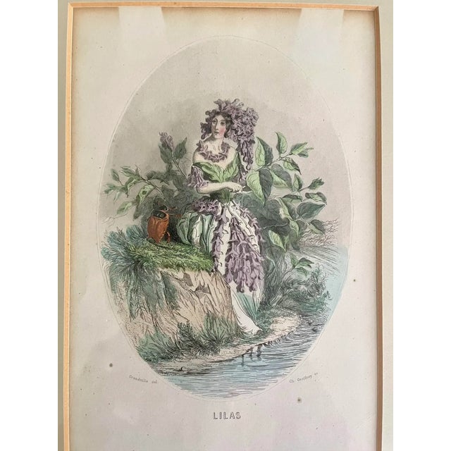 French Mid 19th Century “Les Fleurs Animées” Original Hand-Painted Antique French Lithographs 1846, Set of 6, Framed For Sale - Image 3 of 12