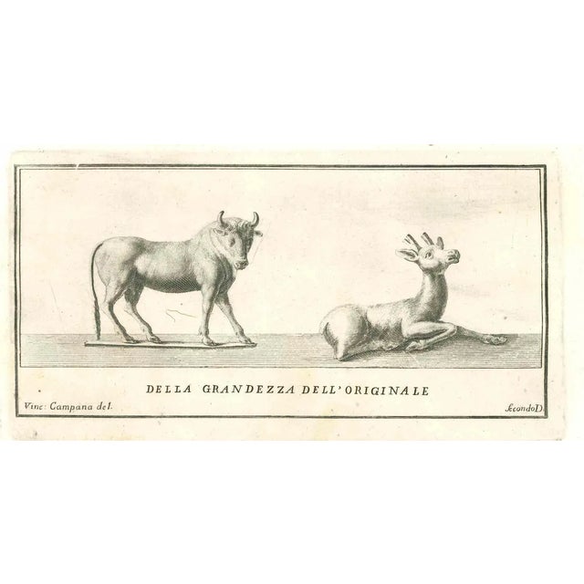 Vincenzo Campana, Ancient Roman Statues, Original Etching, 18th Century For Sale