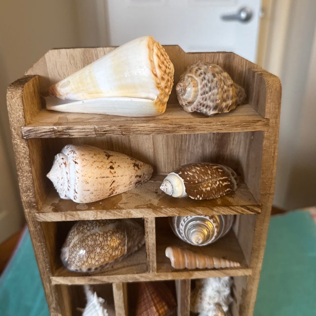 Elevate your coastal interior with this curated vintage rustic wooden shadow box shadow unit, featuring an exquisite,...
