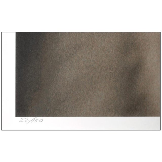 Horse Eye, John Maggiotto For Sale In Minneapolis - Image 6 of 7