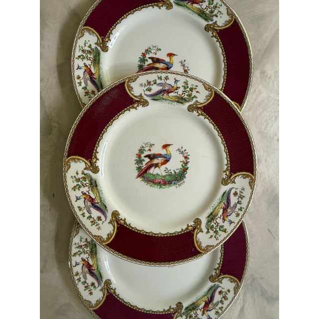 Lovely set of three vintage Myott dinner plates in the sought-after Chelsea Bird pattern, made in England. These plates...