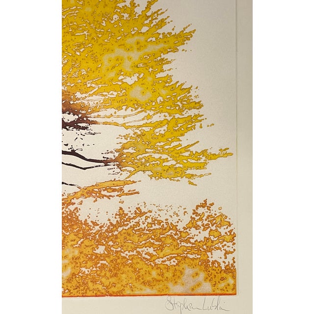 Traditional 1970s Stephen Luskin Tree Color Etching For Sale - Image 3 of 6