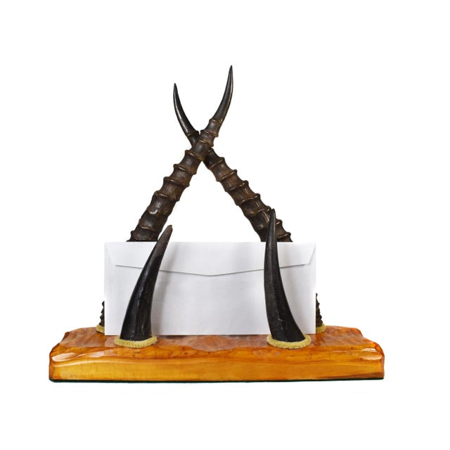 Early 20 Century Antelope Horn Desk Letter Paper Organizer For Sale - Image 4 of 11