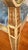Pair of Vintage Neoclassical Painted & Gilt Louis XVI Style Armchairs With Hand-Painted Medallion Backs For Sale - Image 10 of 15