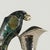 1960s Vintage Los Castillo Silver Plate Pitcher With Parrot For Sale - Image 5 of 10