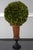 Age: Approx: 10 Years Old Details: High Quality Construction Nice Decorative Accents Faux Boxwoods Un-Marked As To...