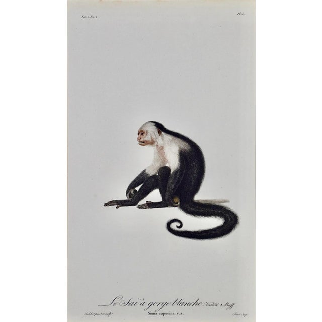 This is a framed 18th century folio-sized colored stipple engraving with hand-finishing entitled "Le Sai a gorge blanche....