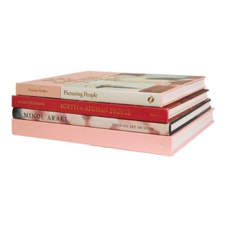 Decorative Books - Blush Arts Coffee Table Stack - 4 Pink Books For Sale