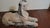 1920s Spinx garden Statue Mixed ground stone. Original paint and patina.