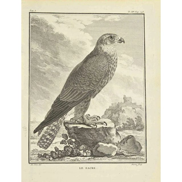 The coronation is an etching realized in 1771 by Bernard Baron. Signed in flat. The Artwork Belongs to the Suite "Natural,...