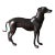 Late 20th Century Bronze Greyhound Statuette For Sale