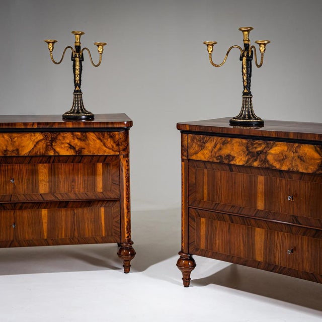 Chests of Drawers, Italy, 19th Century, Set of 2 For Sale - Image 4 of 10