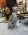 Snow Leopard Ceramic Figurine from Ceramiche Boxer For Sale - Image 6 of 7