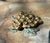 English Vintage Solid Brass Grape Cluster Door Knocker With Verdigris Leaf Detail For Sale - Image 3 of 5