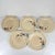 Dinner Plates with Floral Motif from Sarreguemines, 1920s-1940s, Set of 5 For Sale - Image 13 of 13