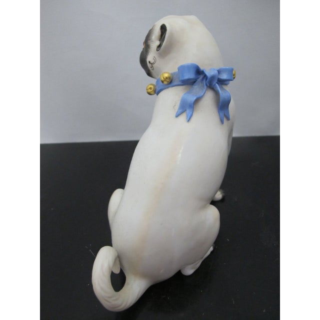 Blue Meissen Porcelain Pug Dog With Blue Collar & Gold Bells Figurine Statue For Sale - Image 8 of 10