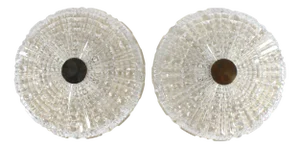 Vintage Ceiling Lamps by Carl Fagerlund for Orrefors, Sweden, 1960s, Set of 2