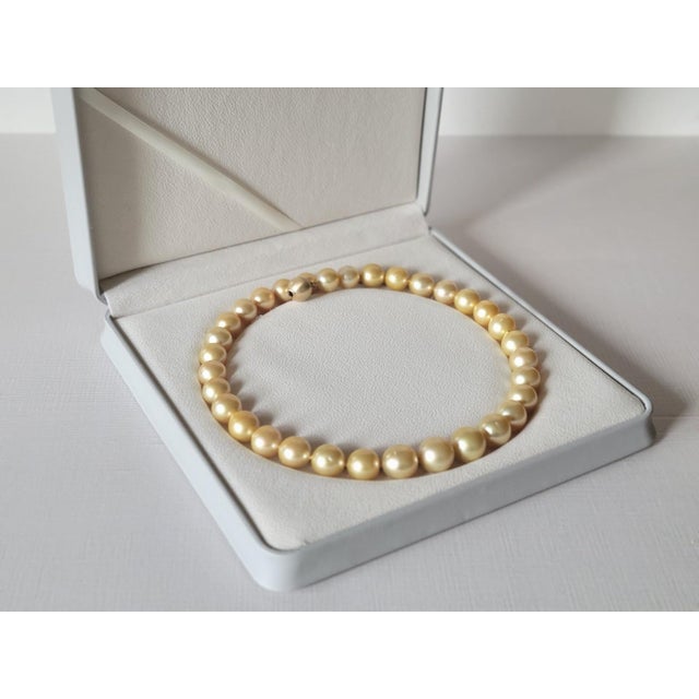 South Sea Golden Pearls Necklace With 14k Gold Clasp For Sale - Image 9 of 11