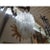 Transparent 1960's Mid-Century Murano Glass Chandelier-Venini Attributed For Sale - Image 8 of 11